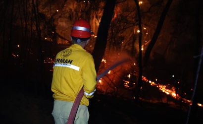 milas orman yangını