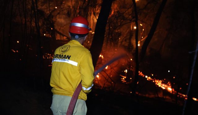 milas orman yangını