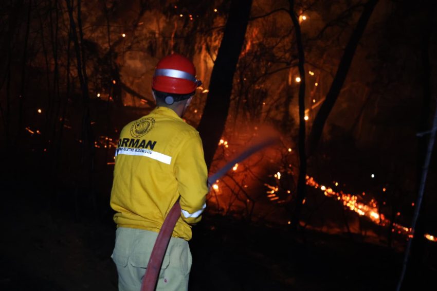Milas Orman Yangını 2025: Akkovanlık, Kıyıkışlacık ve Akköprü